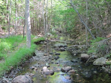BIOMONITORING DOWNSTREAM WEB PHOTO