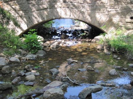 BIOMONITORING UPSTREAM WEB PHOTO