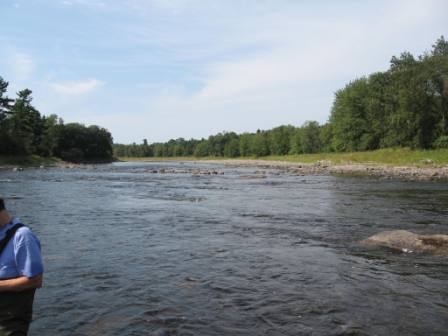 BIOMONITORING DOWNSTREAM WEB PHOTO