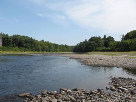 BIOMONITORING UPSTREAM WEB PHOTO