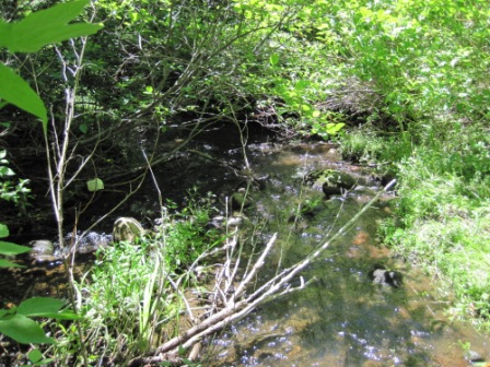BIOMONITORING DOWNSTREAM WEB PHOTO
