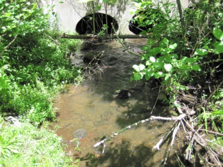 BIOMONITORING UPSTREAM WEB PHOTO