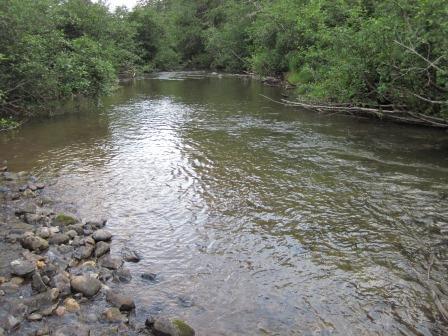 BIOMONITORING DOWNSTREAM WEB PHOTO