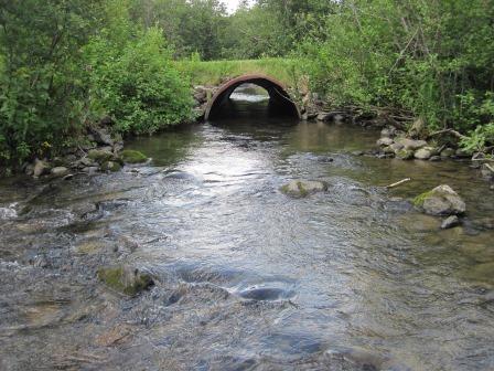 BIOMONITORING UPSTREAM WEB PHOTO