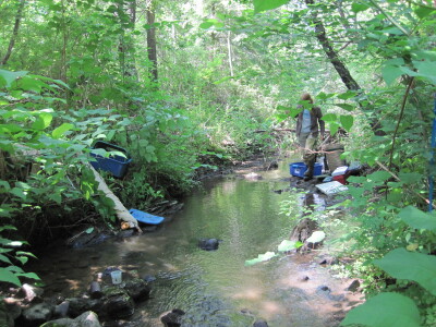 BIOMONITORING DOWNSTREAM WEB PHOTO