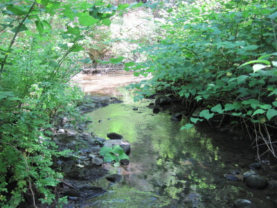 BIOMONITORING UPSTREAM WEB PHOTO