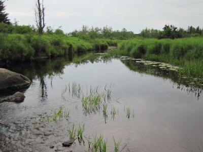 BIOMONITORING DOWNSTREAM WEB PHOTO