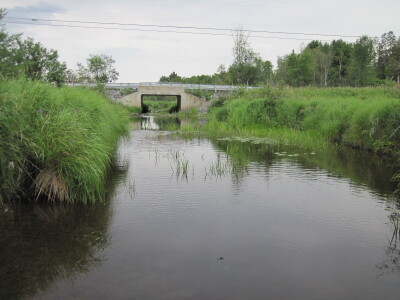 BIOMONITORING UPSTREAM WEB PHOTO