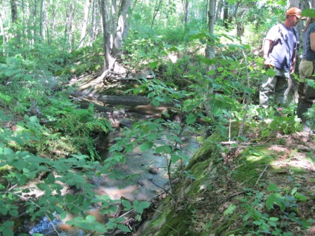 BIOMONITORING DOWNSTREAM WEB PHOTO