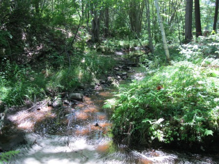 BIOMONITORING UPSTREAM WEB PHOTO