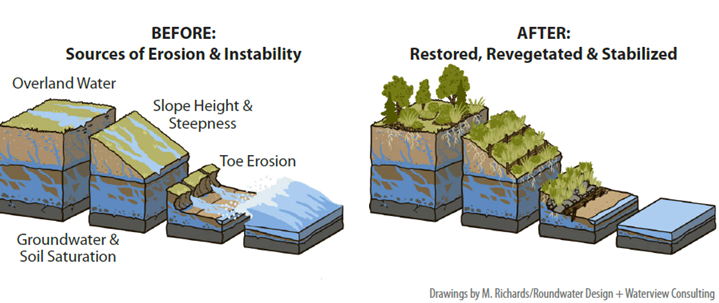 side-by-side illustrations of a sample shoreline cross section showing the water, bank, and upland areas on both.