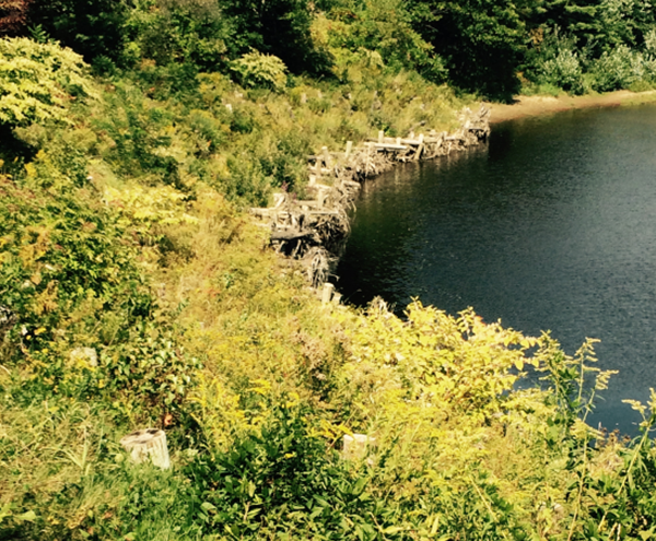 Rootwad deflectors and planted seedlings responding to bank collapse from Hurricane Irene in 2011 followed by an intense rain along Sand River in Farmington.