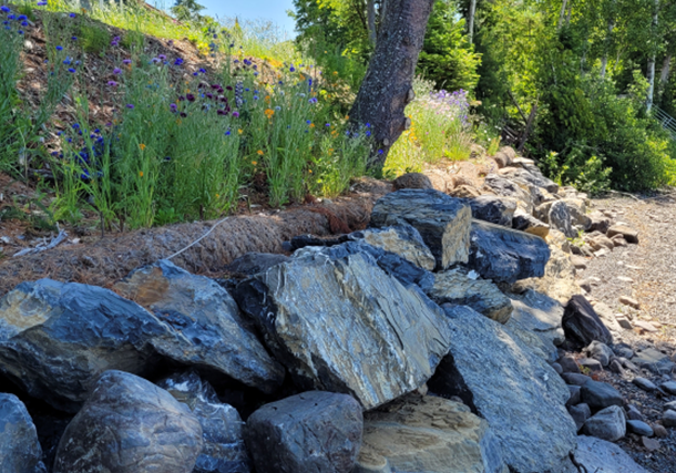 Stone toe, coconut fiber coir logs with live stakes, revegetated bank with biodegradable erosion control blanket, and vegetated buffer at Cross Lake.