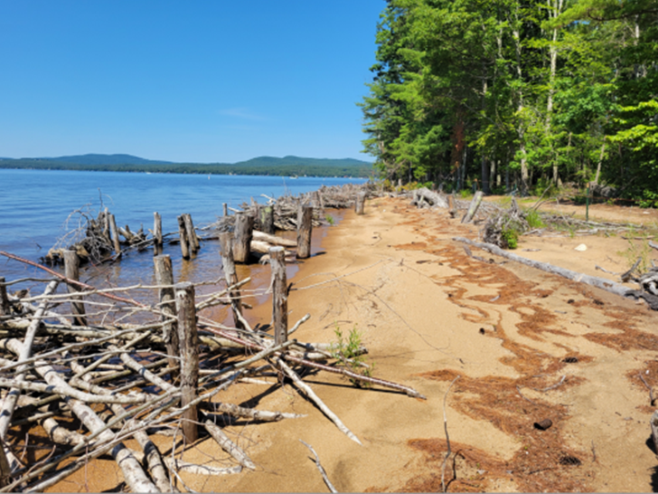 Rootwads, post assisted wicker waves, brush aggradation bundle structures, soil encapsulation, and plantings at Sebago Lake State Park.