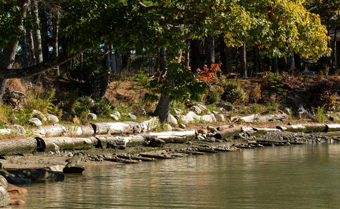 Proactive living shoreline treatments to restore and enhance fringe marshes combining pinned logs, small boulders, and plantings in Blue Hill.
