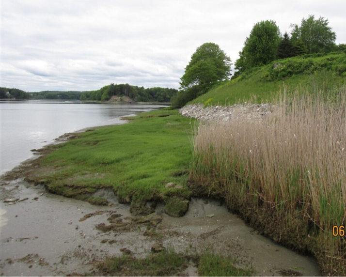 Riprap, coir logs, reinforced turf mats, and native salt marsh plants at toe of slope. Regraded slope and geotextile with topsoil, erosion control mix, and native plants on slope in Casco Bay.