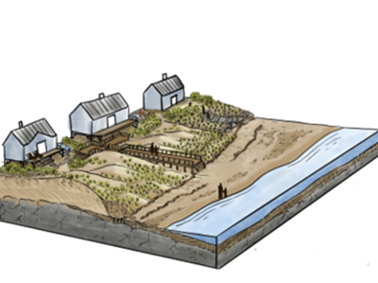 sand dune