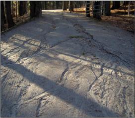 road erosion