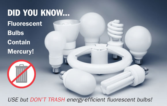 Fluorescent Bulb Disposal Bureau Of