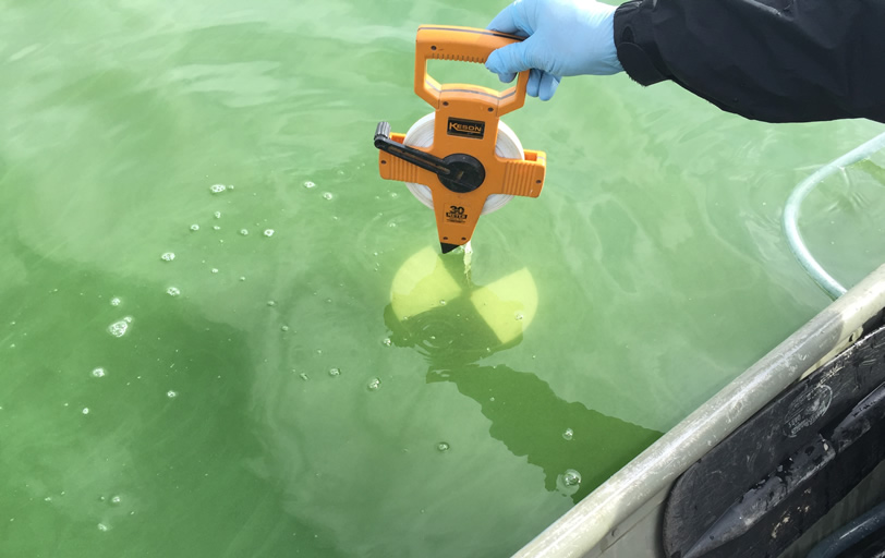 Algal Blooms in Maine Lakes