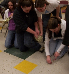 Student on right is a zooplankton eating algae (split peas).  Student on left is a piscivorous fish eating zooplankton.