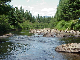 Biomonitoring Sampling Site, Cupsuptic River