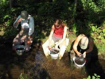 Cleaning sampling equipment