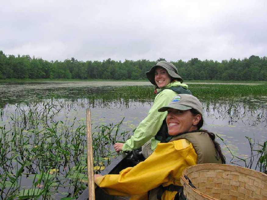 Wetland sampling