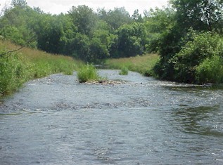 Caribou Stream (2004)
