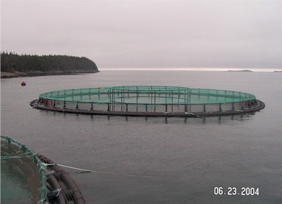 General Permit - Net Pen Aquaculture, Maine Department of Environmental  Protection