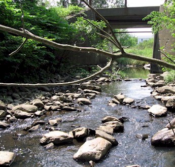 picture:  Birch Stream 2005