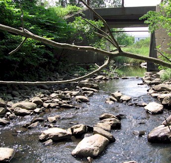 picture: Birch Stream 2005