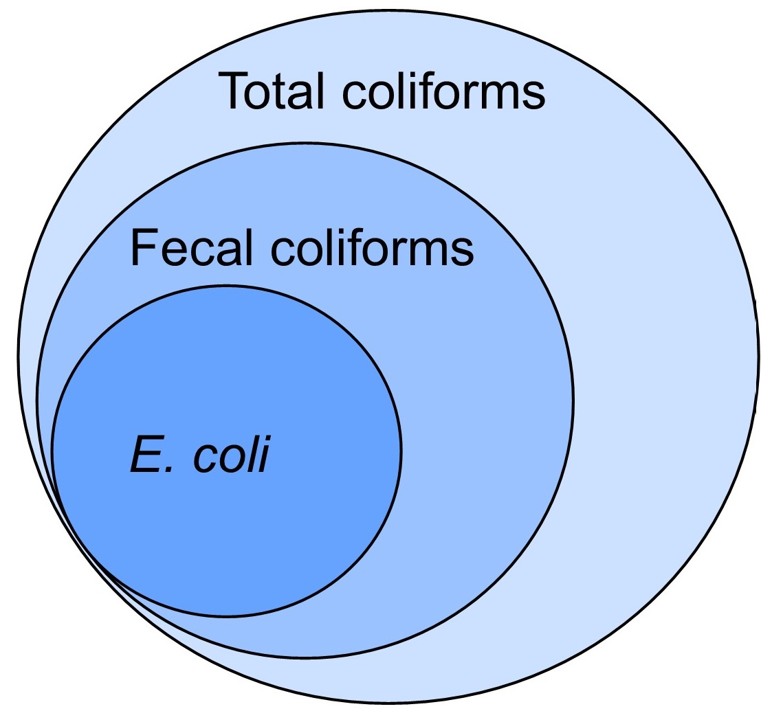 Venn diagram showing Total coliforms, Fecal coliforms, and E. coli