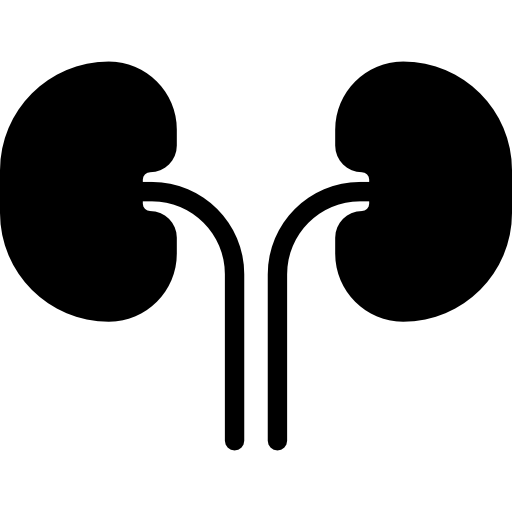 kidneys