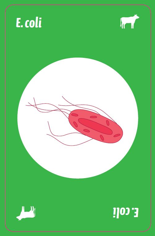 E. coli germ-O card