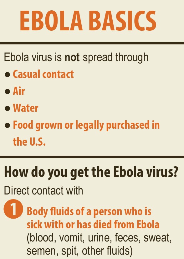 Ebola basics