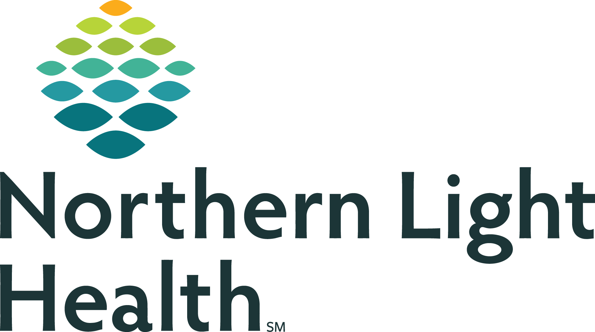 Northern Light Health logo
