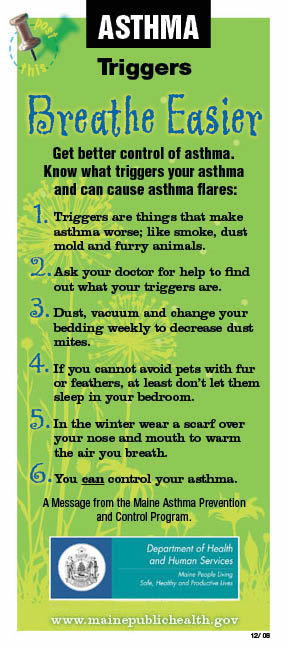 Asthma Triggers Chart