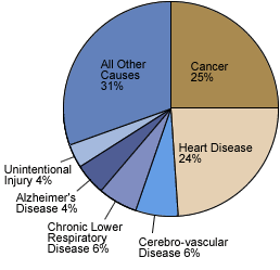 Leading Causes of Death in Maine, 2003