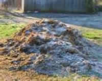 Manure Pile