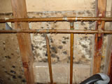 mold on the walls