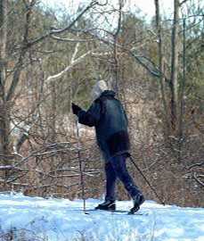 Cross Country Skier Making Tracks.