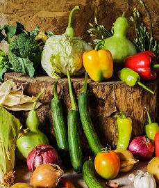 Freshly Harvested Vegetables