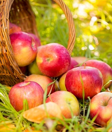 Apples in a Basket.