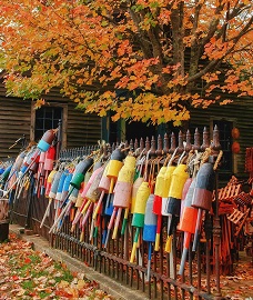 Lobster Buoys on fence.