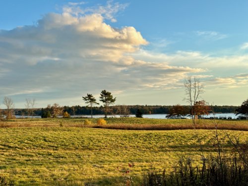 Field