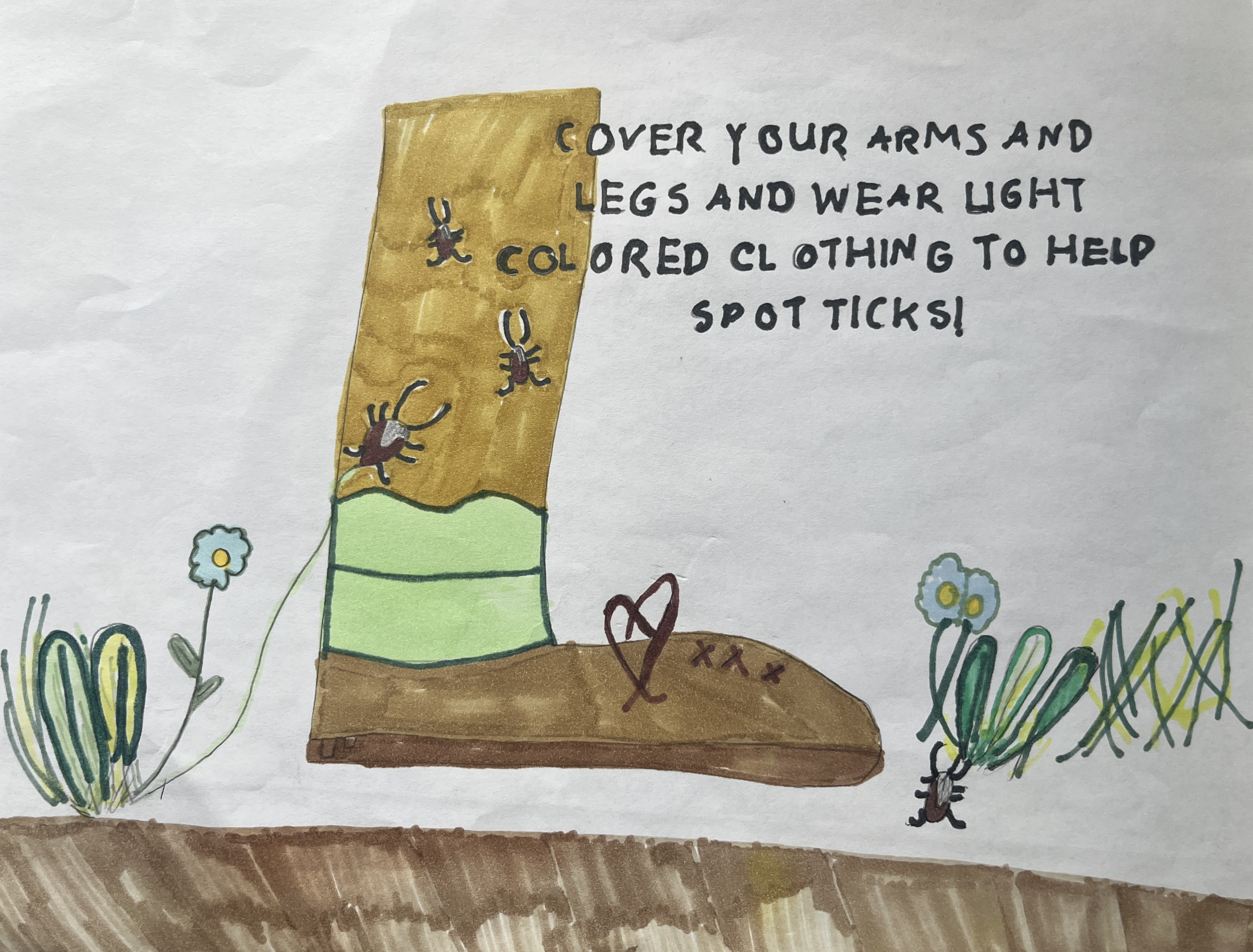 Holly J., Fruit Street School, Grade 2-3 winning poster