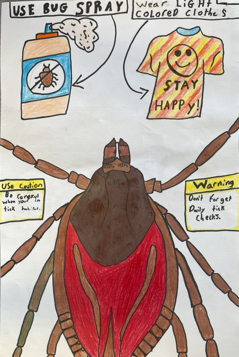 7th grade student, Buckfield Junior-Senior High School