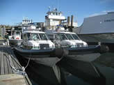 New Protector Boats