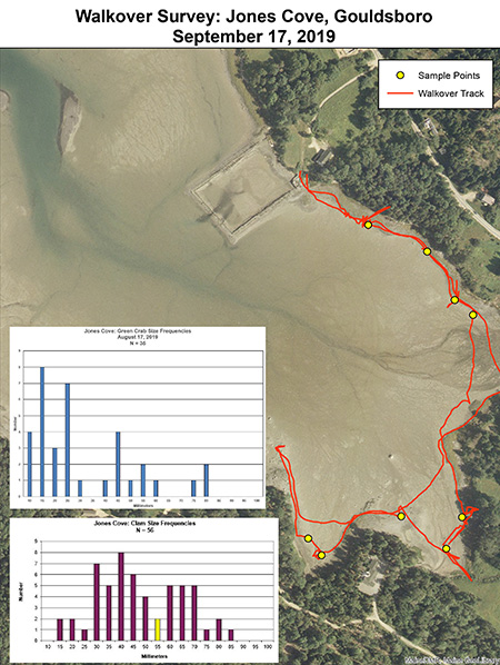 Aerial view of Walkover Survey: Jones Cove, Gouldsboro 9/17/2019